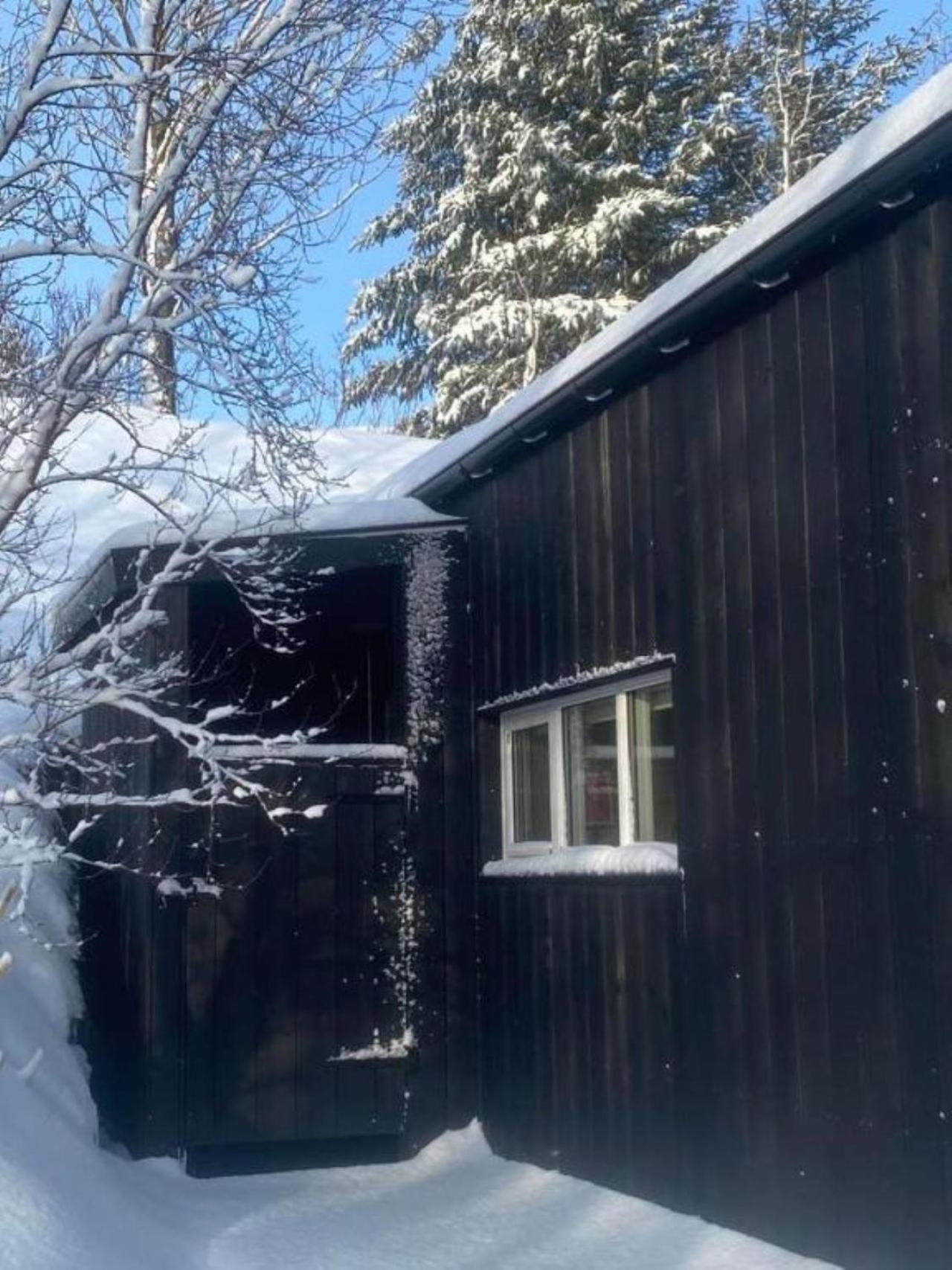 Audkula Dome Cabin Hella Exterior photo